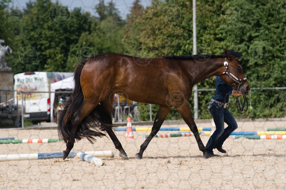 s_batch_A9_00053.jpg